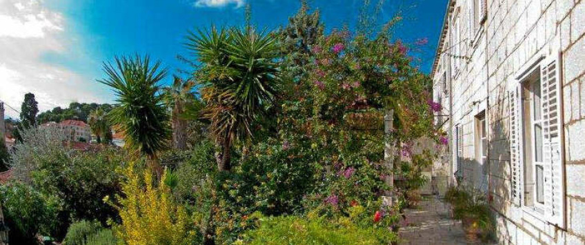 Apartment Ulica Antuna Masle Dubrovnik - Apt 36563