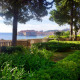 Apt 36563 - Apartment Ulica Antuna Masle Dubrovnik