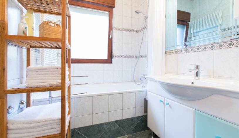 Apartment Ulica Barutanski jarak Zagreb - Apt 27322