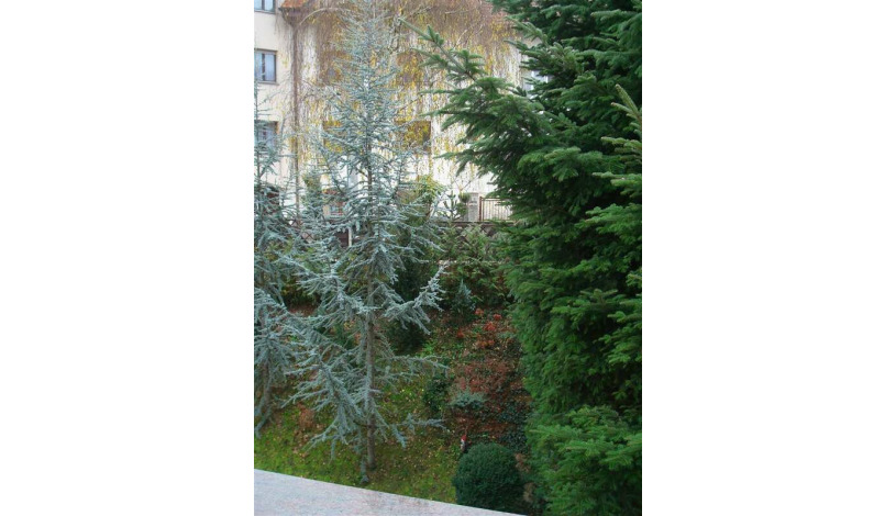 Apartment Ulica Barutanski jarak Zagreb - Apt 27322