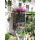 Apartment Ulica Iva Dulčića Dubrovnik - Apt 22485