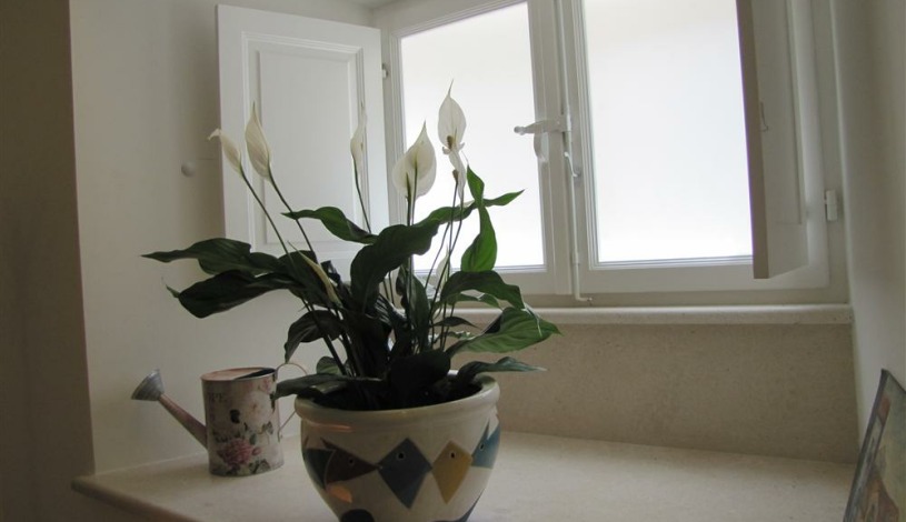 Apartment Ulica Ivana Matijaševića Dubrovnik - Apt 18076