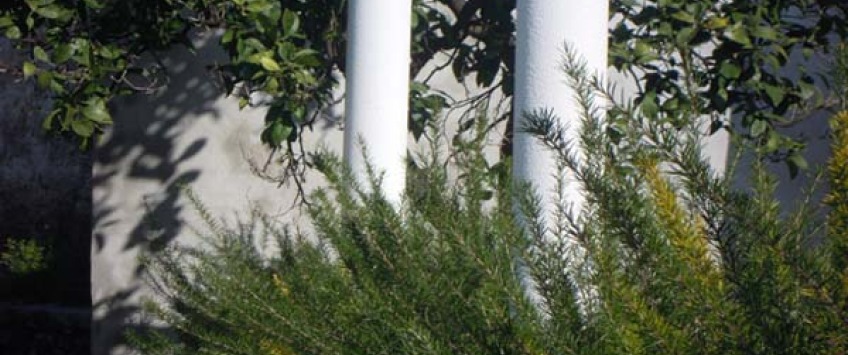 Apartment Ulica Između vrta Dubrovnik - Apt 20031