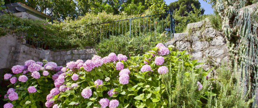 Apartment Ulica od Gradca Dubrovnik - Apt 16014