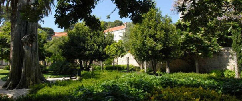 Apartment Ulica od Gradca Dubrovnik - Apt 29859