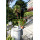 Apartment Ulica Pera Budmani Dubrovnik - Apt 21392