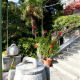 Apt 21392 - Apartment Ulica Pera Budmani Dubrovnik