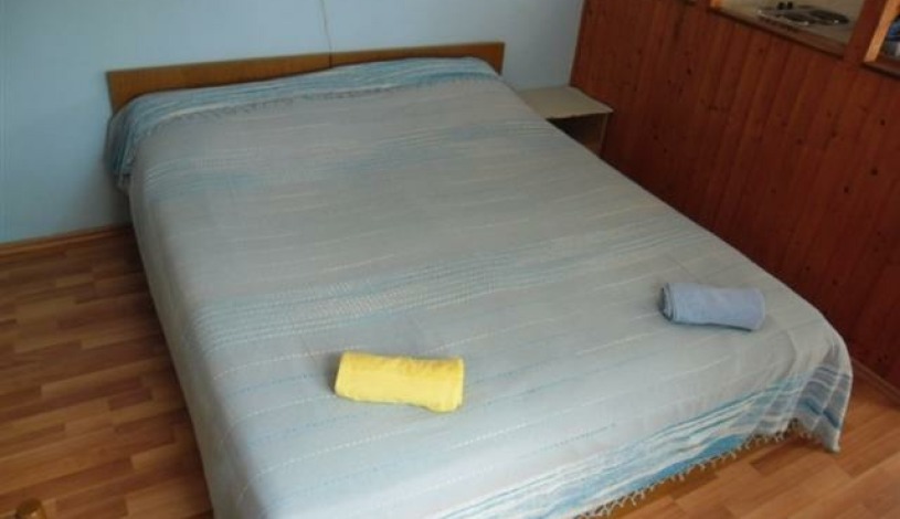 Apartment Ulica Petra Svačića Dubrovnik - Apt 20641