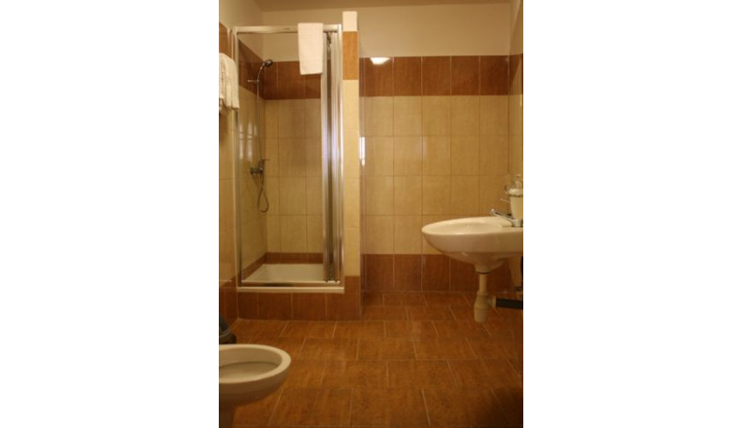 Bed and Breakfast U Lilie Praha - Double room