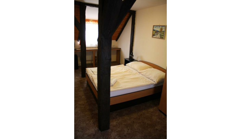 Bed and Breakfast U Lilie Praha - Double room