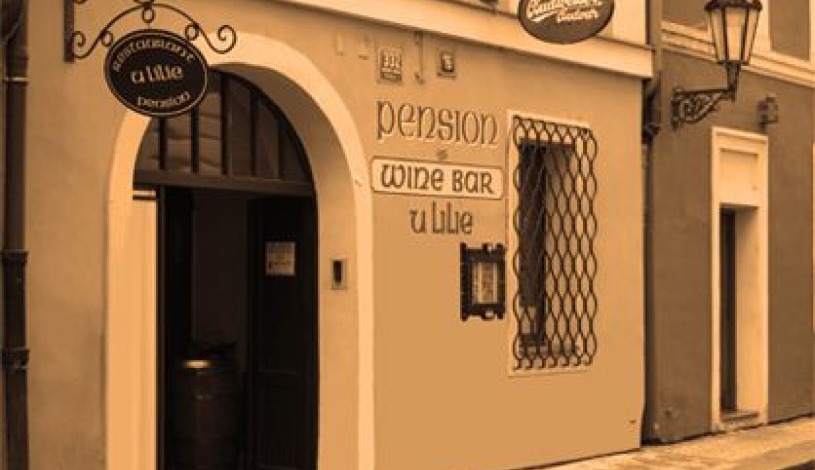 Bed and Breakfast U Lilie Praha