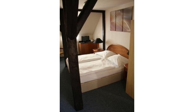 Bed and Breakfast U Lilie Praha - Double room