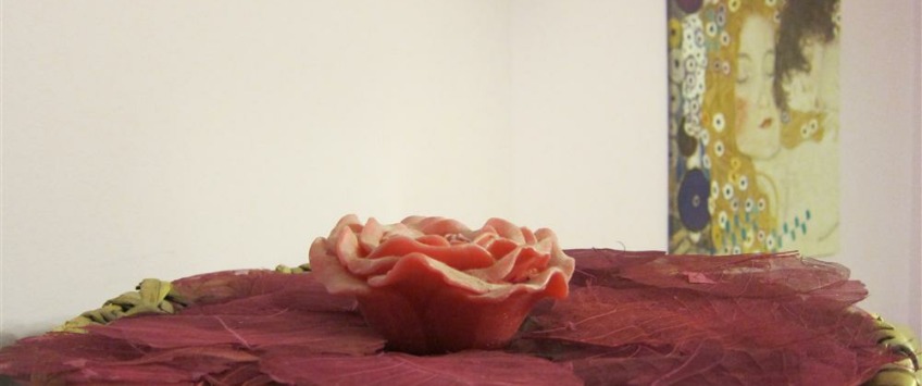 Apartment Untere Weißgerberstraße Wien - Apt 20692