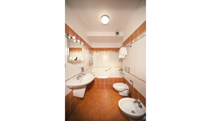 Hotel U Pava Praha - Pokój 2-osobowy Deluxe