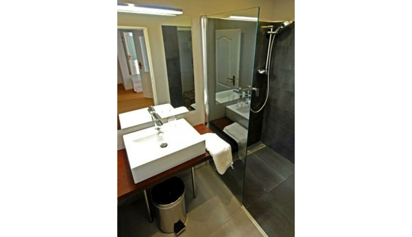Hotel U Stare pani Praha - 2-lůžkový pokoj Deluxe, Pokoj pro 3 osoby, Rodinné apartmá Deluxe (2 dospělí + 2 děti)