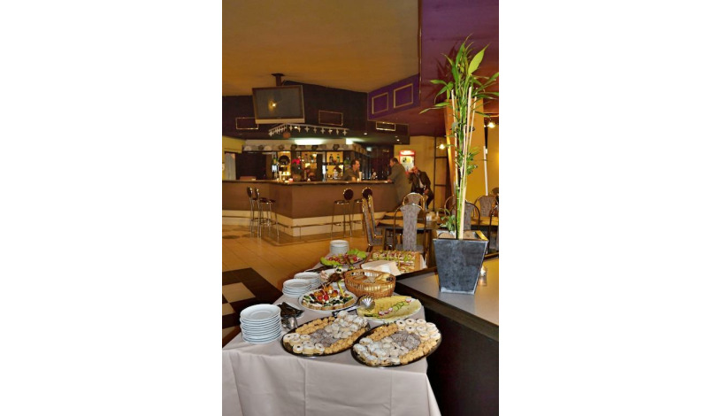 Hotel U TŘÍ LVŮ České Budějovice