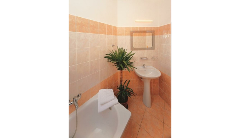 Hotel U TŘÍ LVŮ České Budějovice