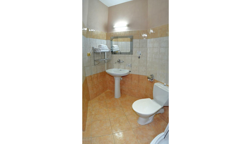 Hotel U TŘÍ LVŮ České Budějovice