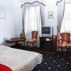 2-lůžkový pokoj s výhledem - Hotel U Tri Pstrosu Praha