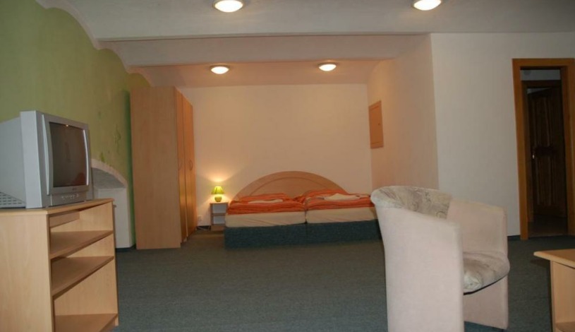 Penzion U Vlka České Budějovice - 1 lůžkový apartmán, apartma