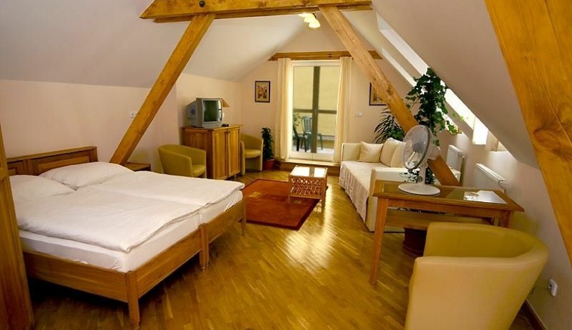 Hotel Pinot Praha - dachgeschoss Appartement