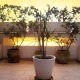 Apt 24721 - Apartment Via Cappuccini Palermo