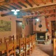 Apt 35926 - Apartment Via Case Alte Lucca