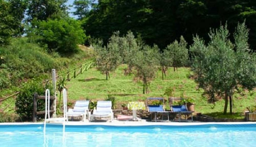 Apartment Via Case Alte Lucca - Apt 35926