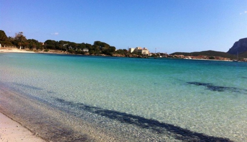 Apartment Via degli Iris Sardinia - Apt 35400