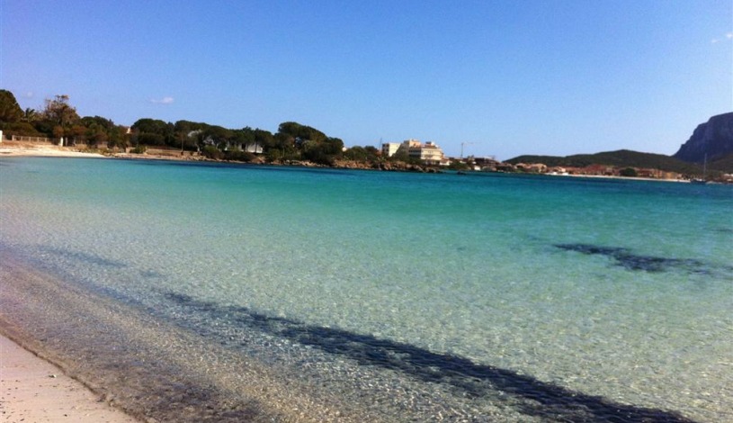 Apartment Via degli Iris Sardinia - Apt 35401