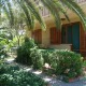 Apt 21243 - Apartment Via dei Gigli Sicilia