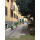 Apartment Via dei Ramni Roma - Apt 39549
