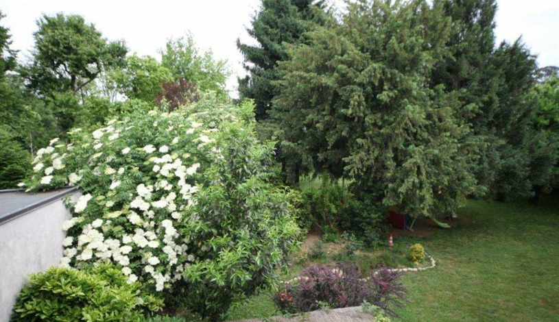 Apartment Via della Repubblica Milano - Apt 18542