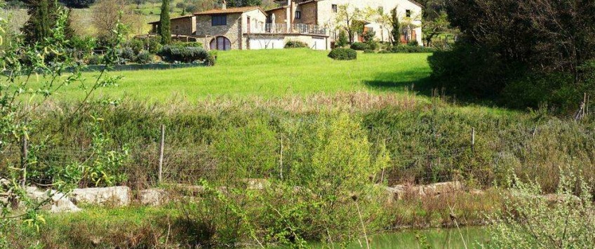 Apartment Via dello Stracchino Toscana - Apt 20314