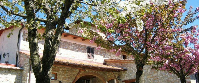 Apartment Via dello Stracchino Toscana - Apt 20315