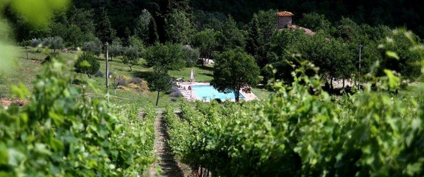 Apartment Via dello Stracchino Toscana - Apt 21269