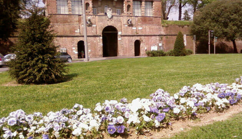 Apartment Via Francesco Carrara Lucca - Apt 27030