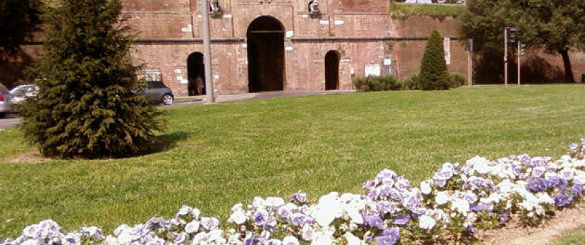 Apartment Via Francesco Carrara Lucca - Apt 27030