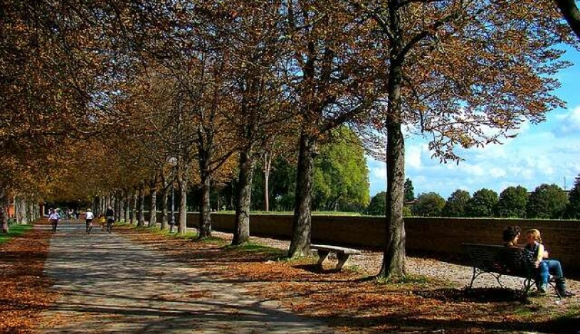 Apartment Via Francesco Carrara Lucca - Apt 27030