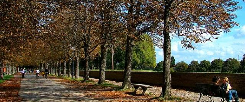 Apartment Via Francesco Carrara Lucca - Apt 27030