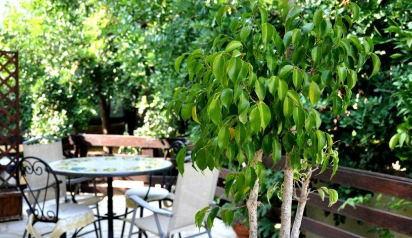 Apartment Via G. Martino Sicilia - Apt 25799