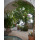 Apartment Viale Pasitea Positano - Apt 21177