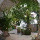 Apt 21177 - Apartment Viale Pasitea Positano