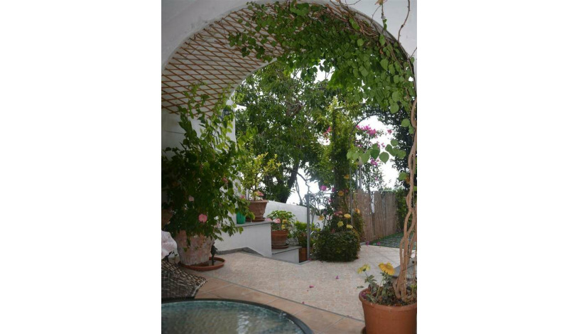 Apartment Viale Pasitea Positano - Apt 21177