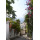 Apartment Viale Pasitea Positano - Apt 21177