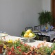 Apt 26847 - Apartment Viale Pasitea Positano