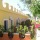 Apartment Via Libeccio Catania - Apt 24582