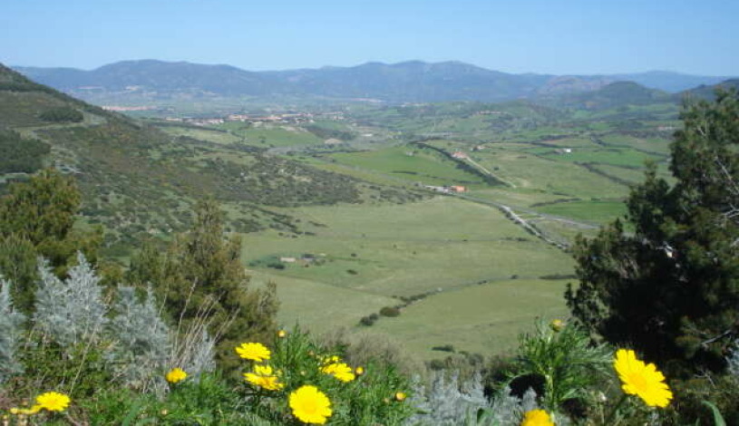 Apartment Via Luigi Pirandello Sardinia - Apt 35367