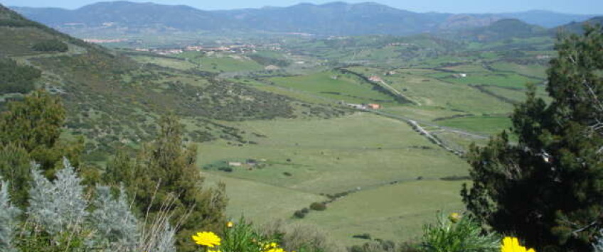 Apartment Via Luigi Pirandello Sardinia - Apt 35367