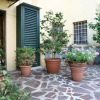 1-bedroom Apartment Lucca with kitchen for 4 persons